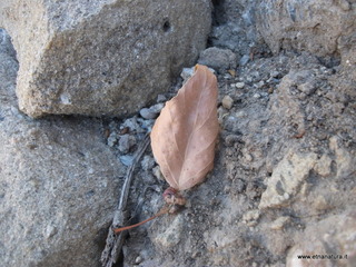 ano Margi-27-08-2014 10-24-27